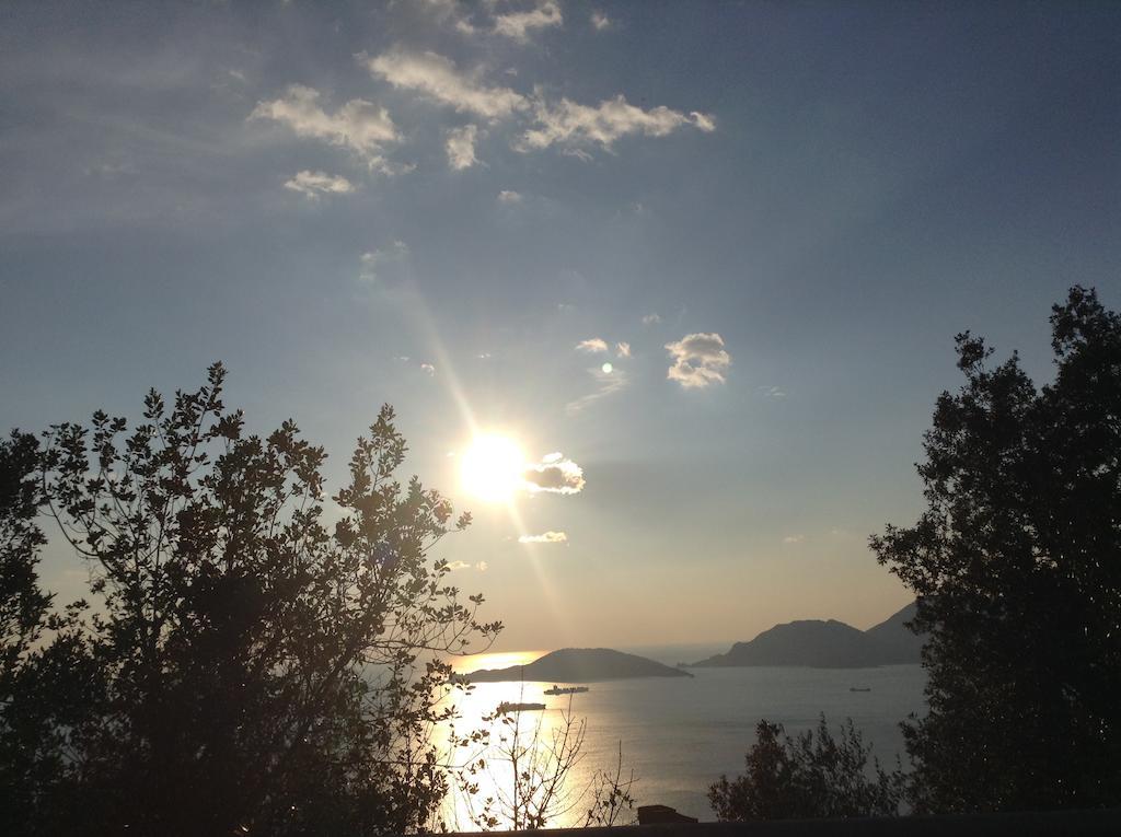 Affittacamere Le Figarole Ameglia Bagian luar foto